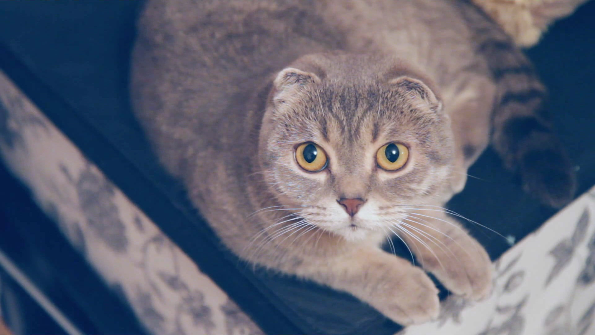 Скриншот из игры Make it indie! - 2