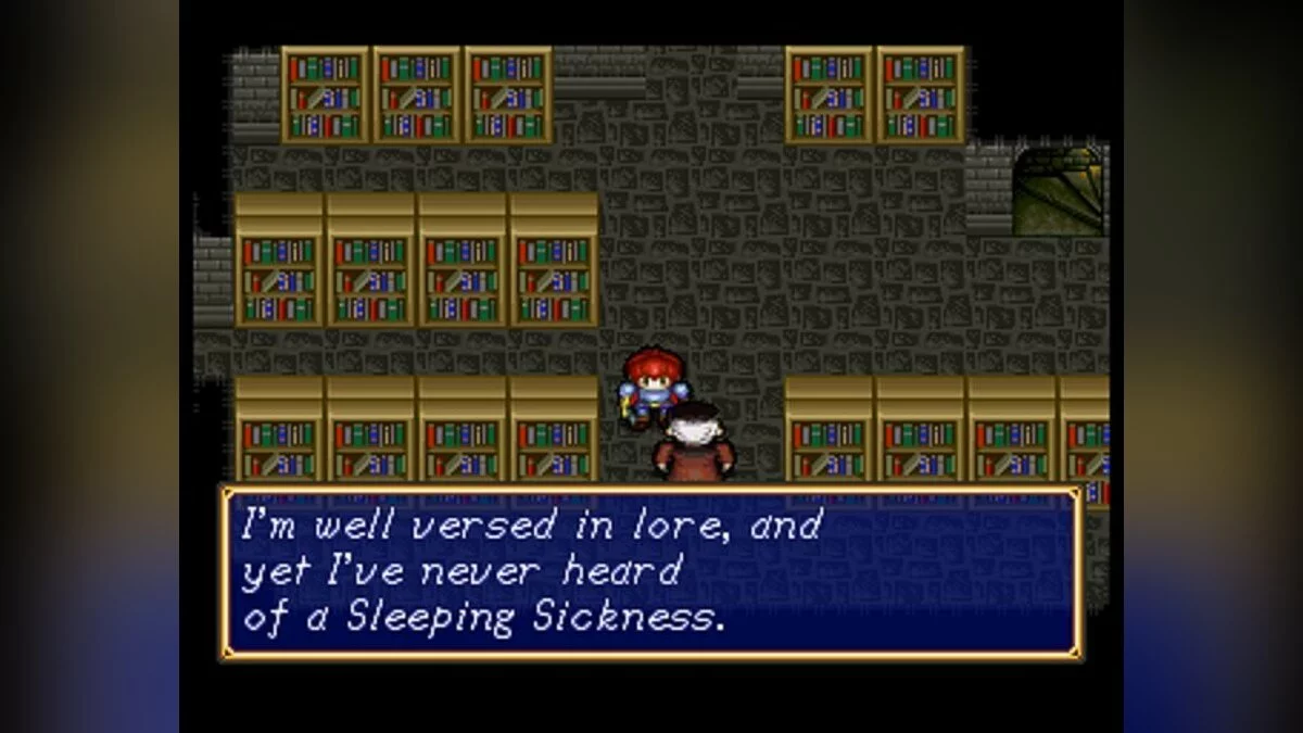 Скриншот из игры Shining Wisdom - 4