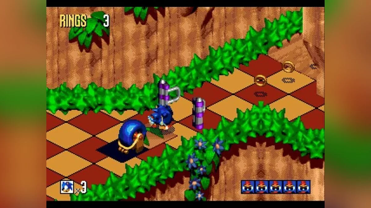 Скриншот из игры Sonic 3D Blast - 14