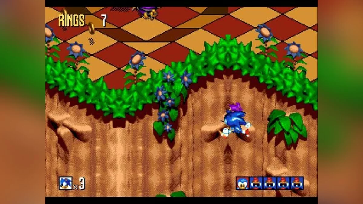 Скриншот из игры Sonic 3D Blast - 5