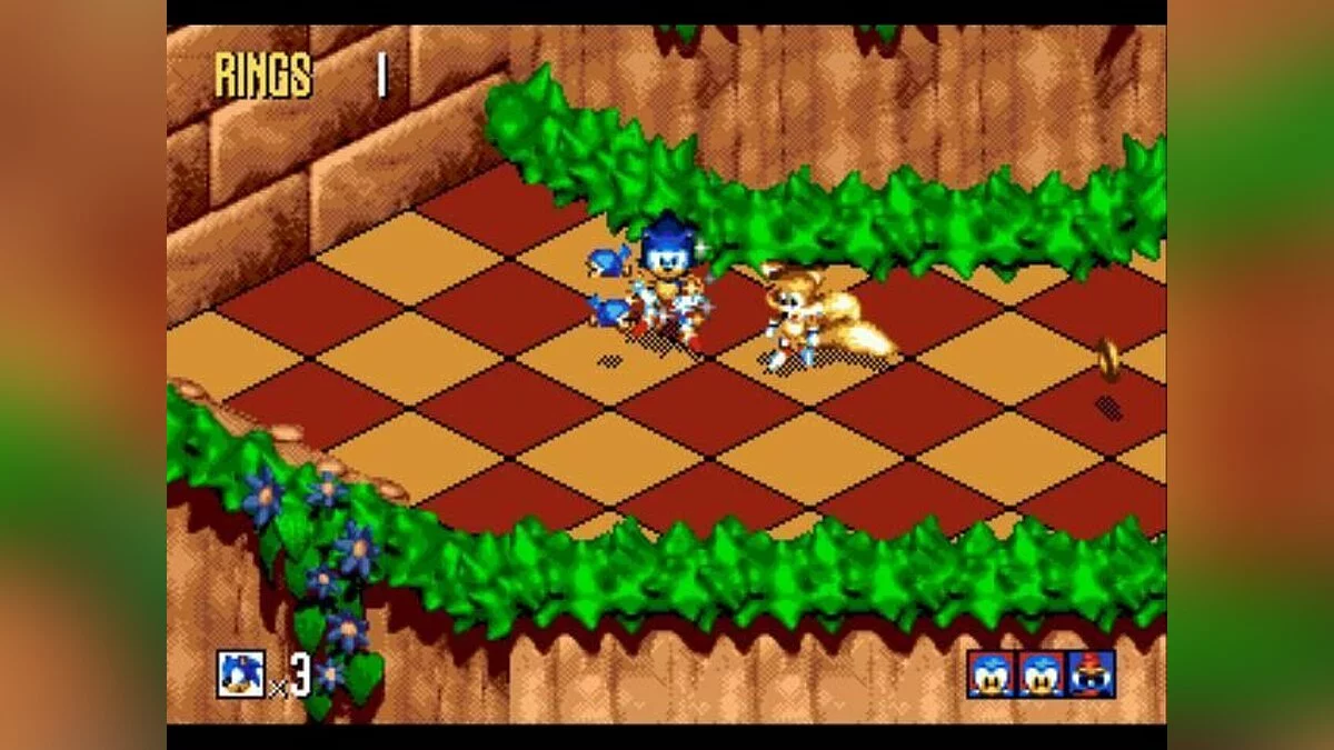 Скриншот из игры Sonic 3D Blast - 8
