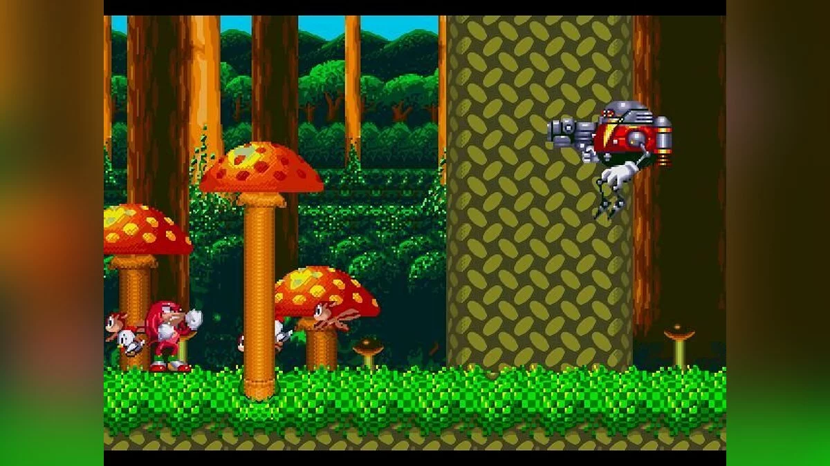 Скриншот из игры Sonic & Knuckles - 33