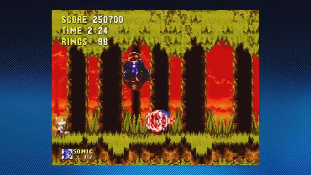 Скриншот из игры Sonic The Hedgehog 3 - 28