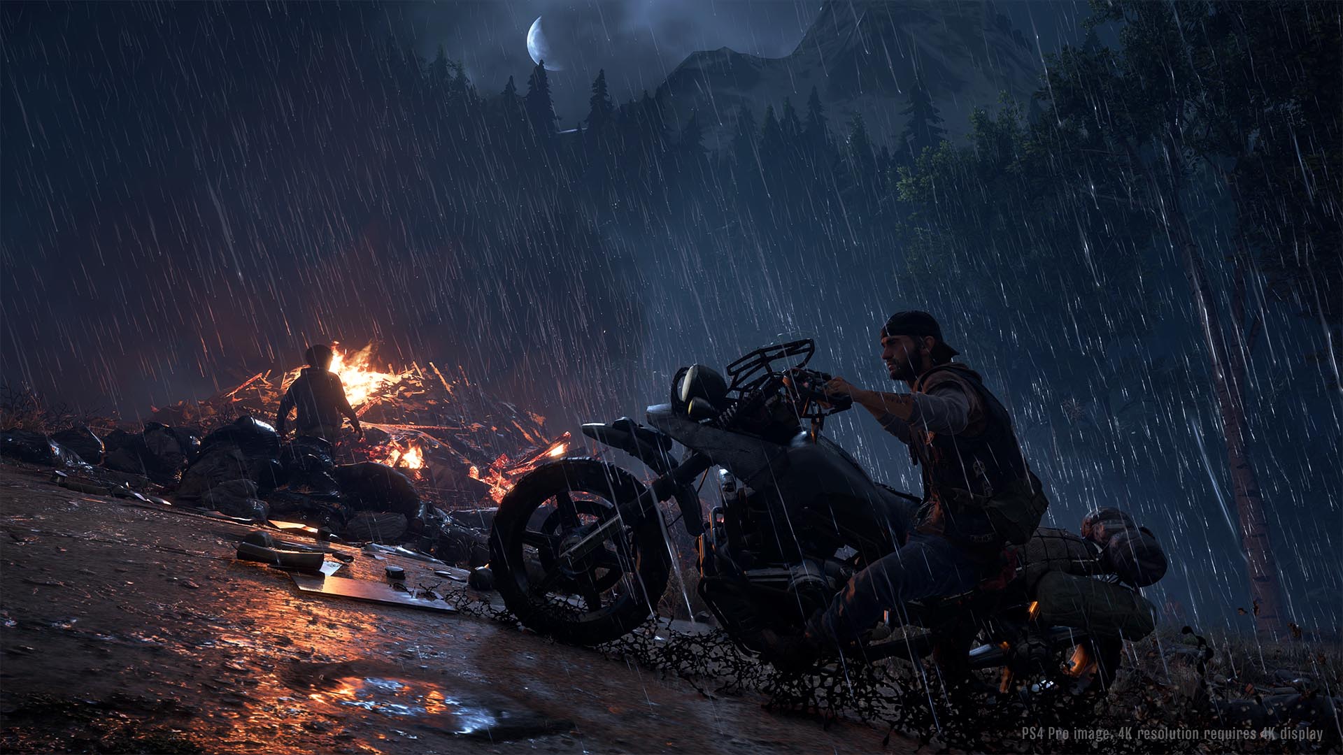 Скриншот из игры Days Gone - 122