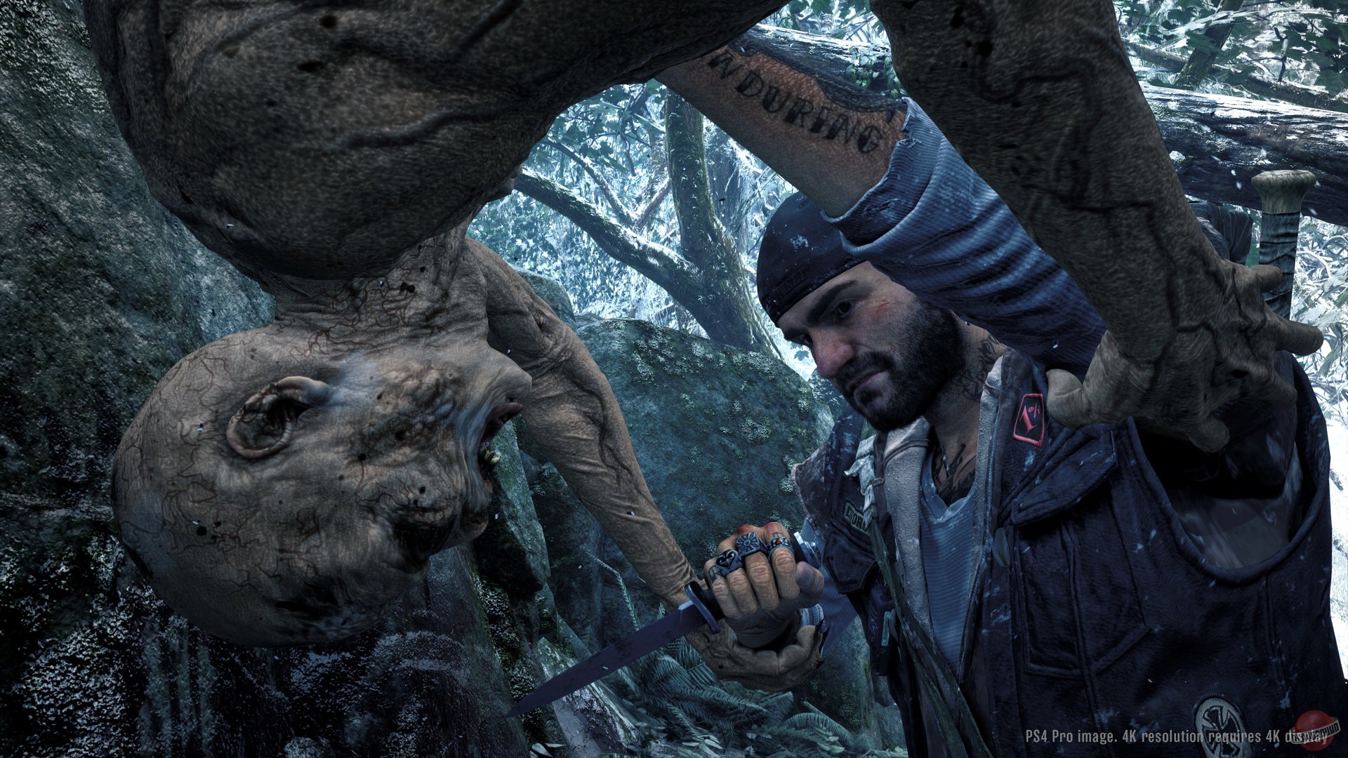 Скриншот из игры Days Gone - 134