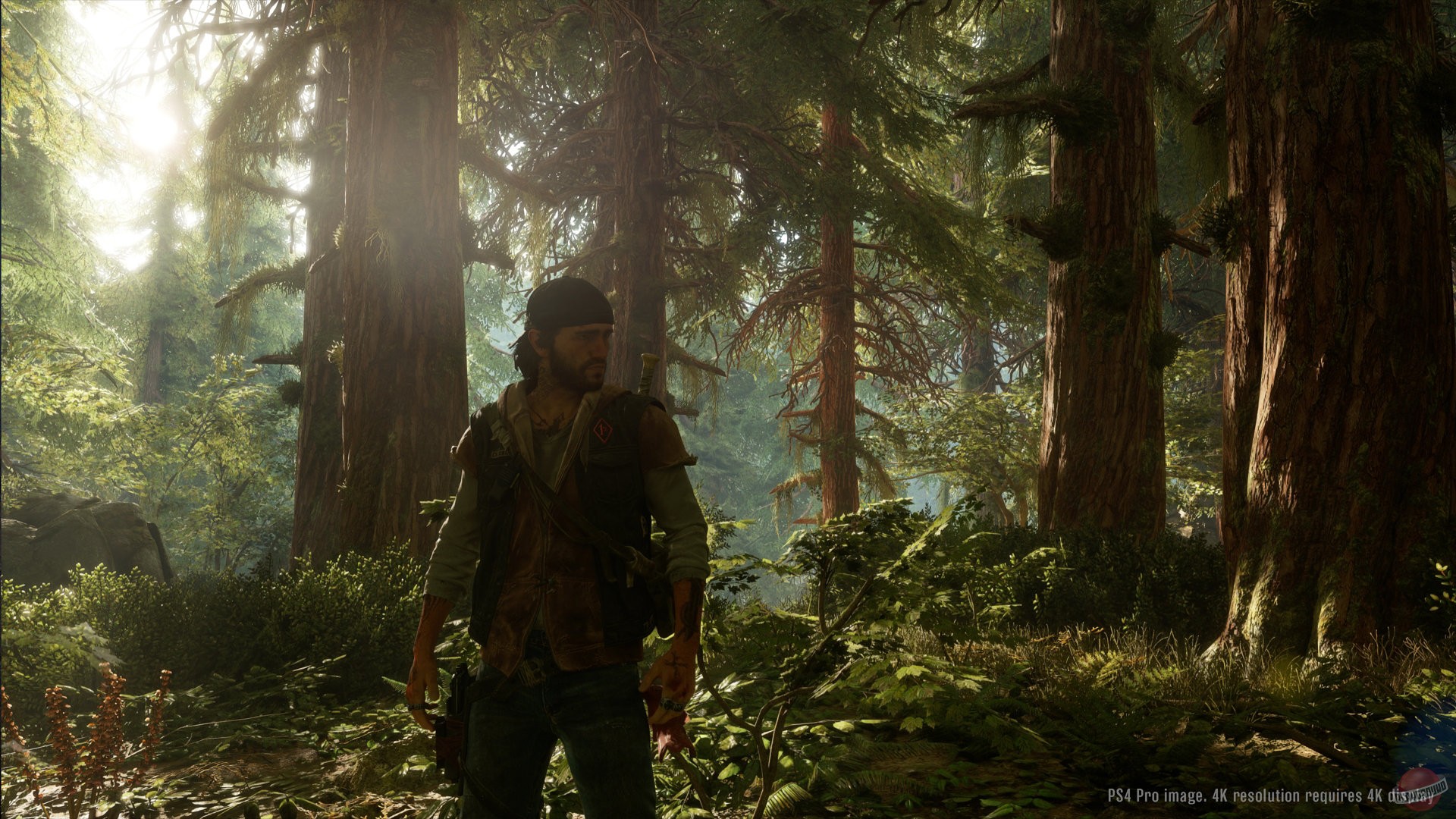 Скриншот из игры Days Gone - 100