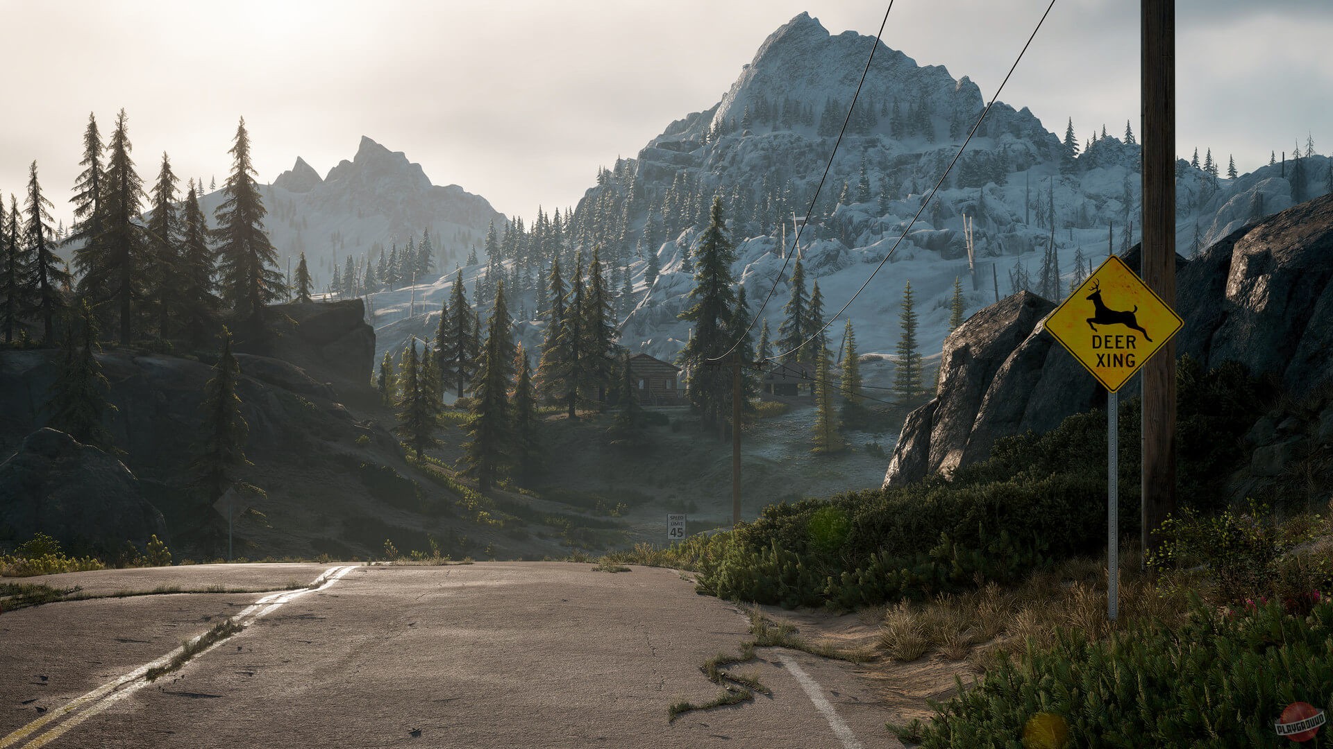 Скриншот из игры Days Gone - 139