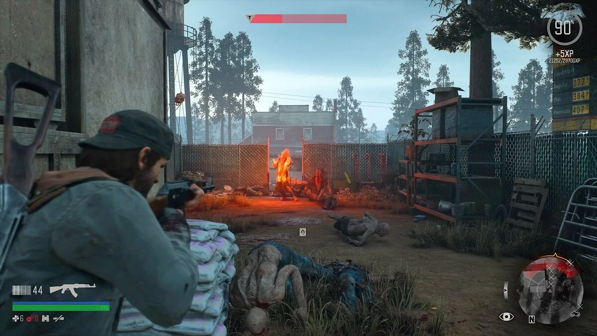 Скриншот из игры Days Gone - 116