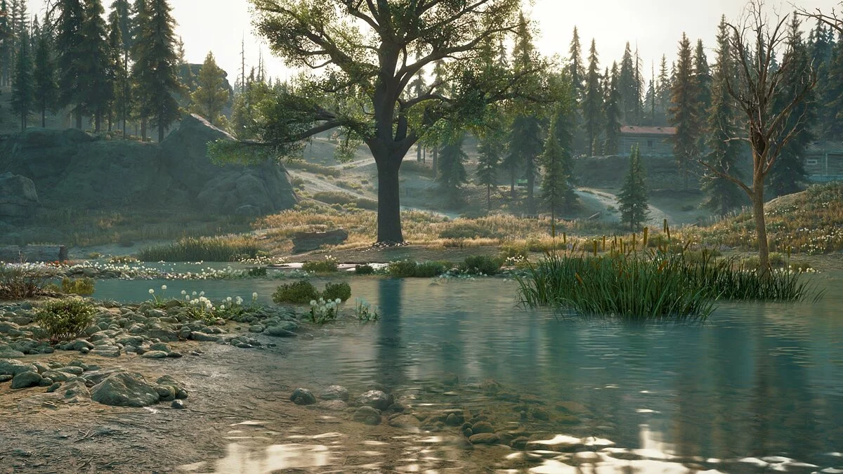 Скриншот из игры Days Gone - 89