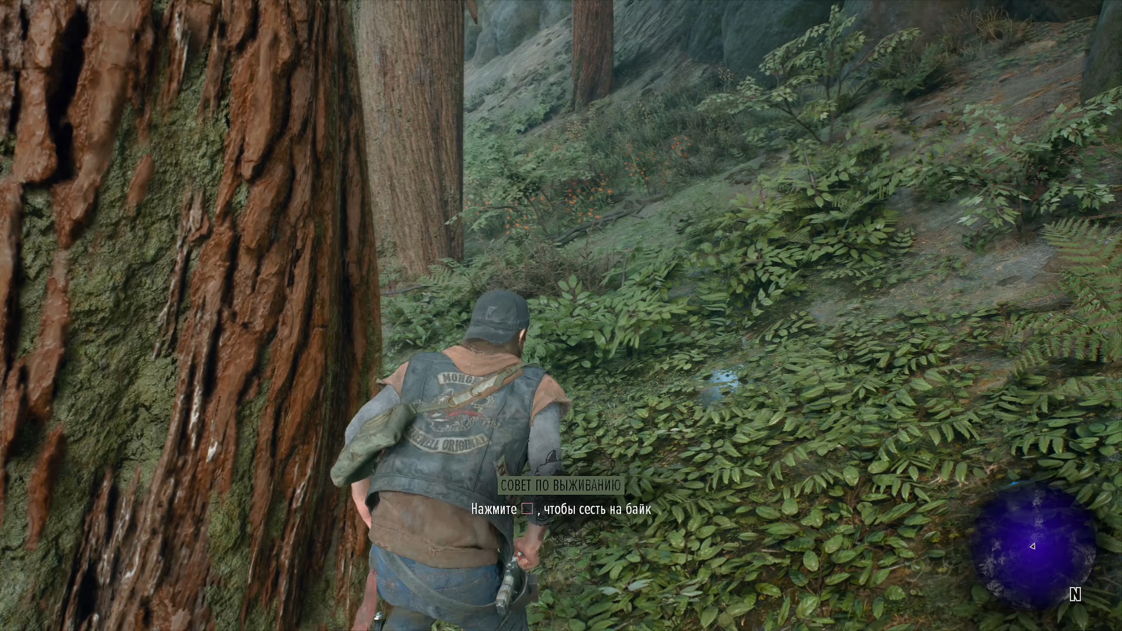 Скриншот из игры Days Gone - 136