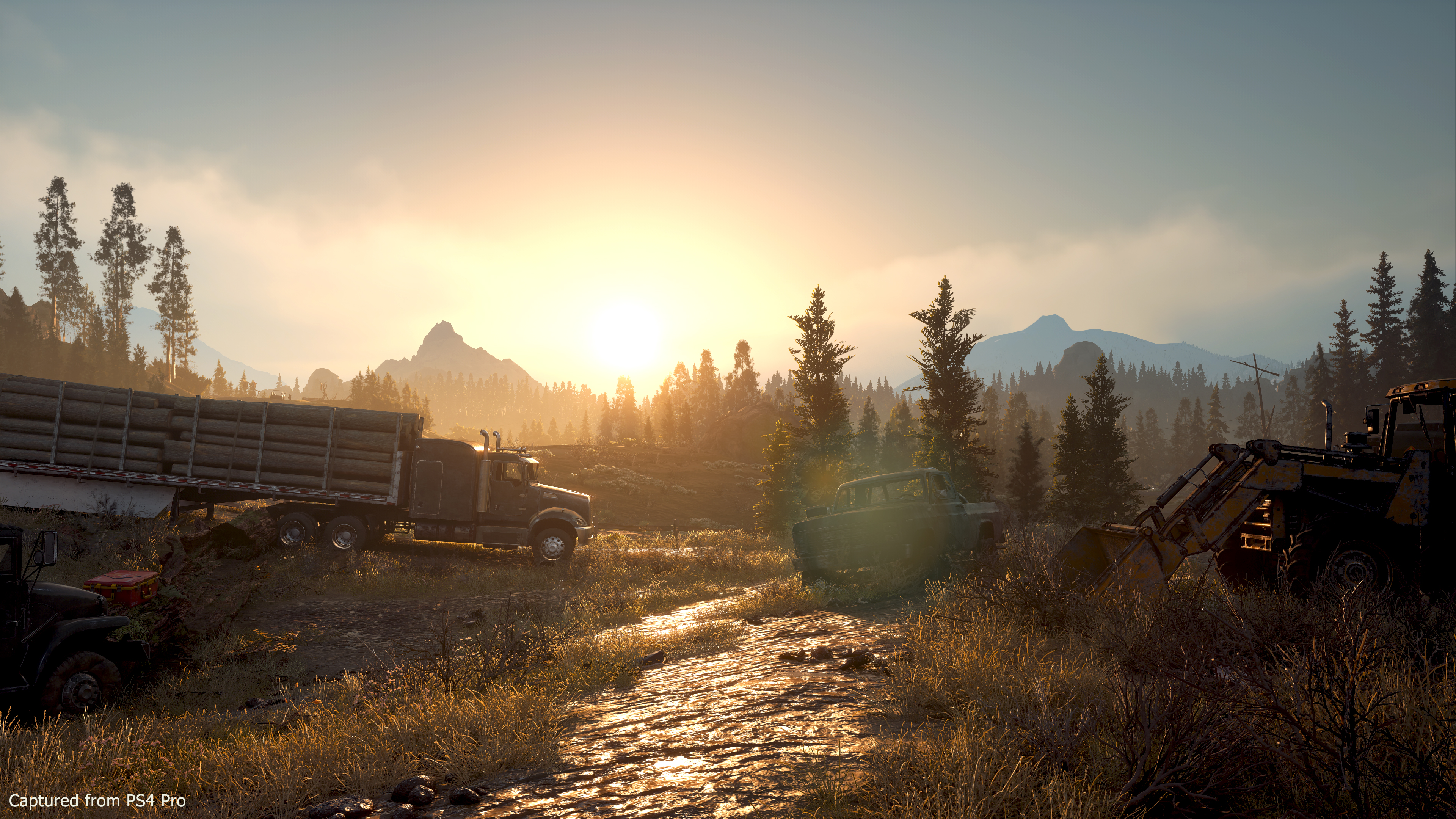 Скриншот из игры Days Gone - 96