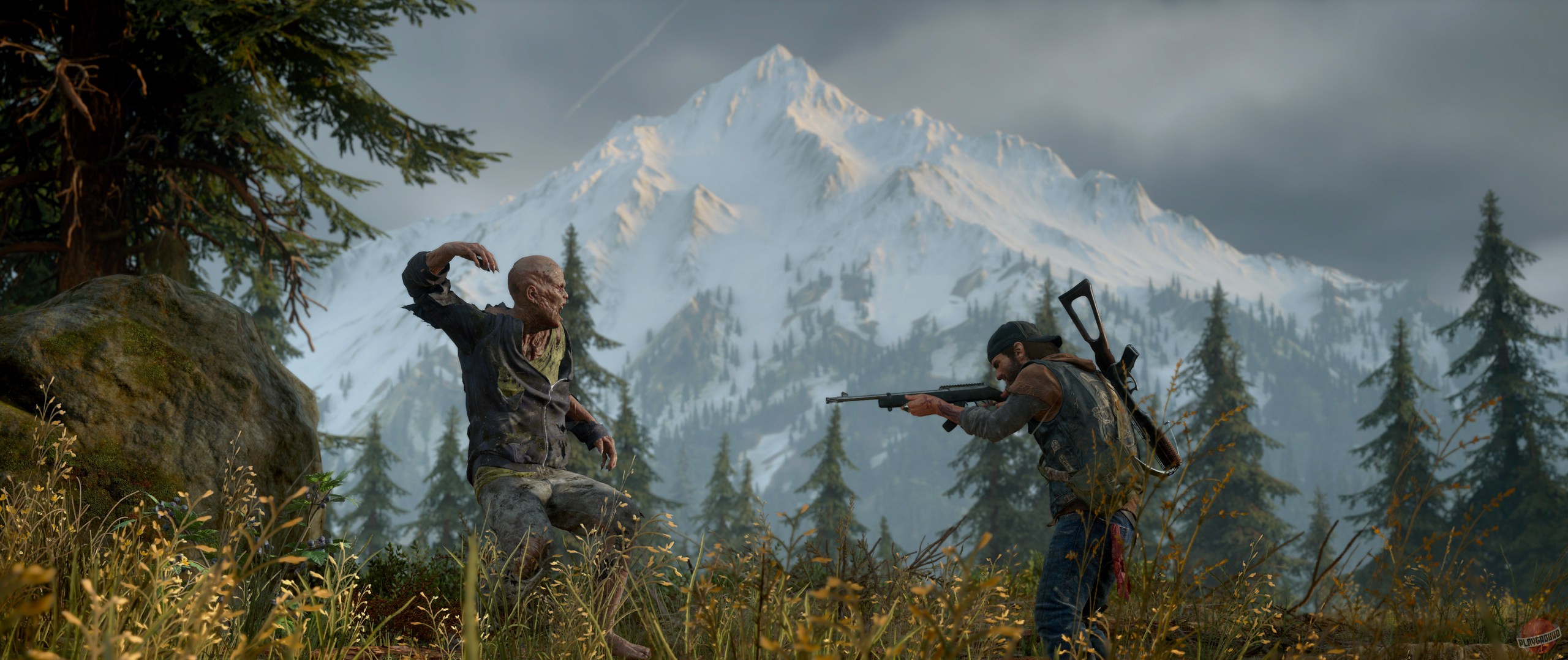 Скриншот из игры Days Gone - 114