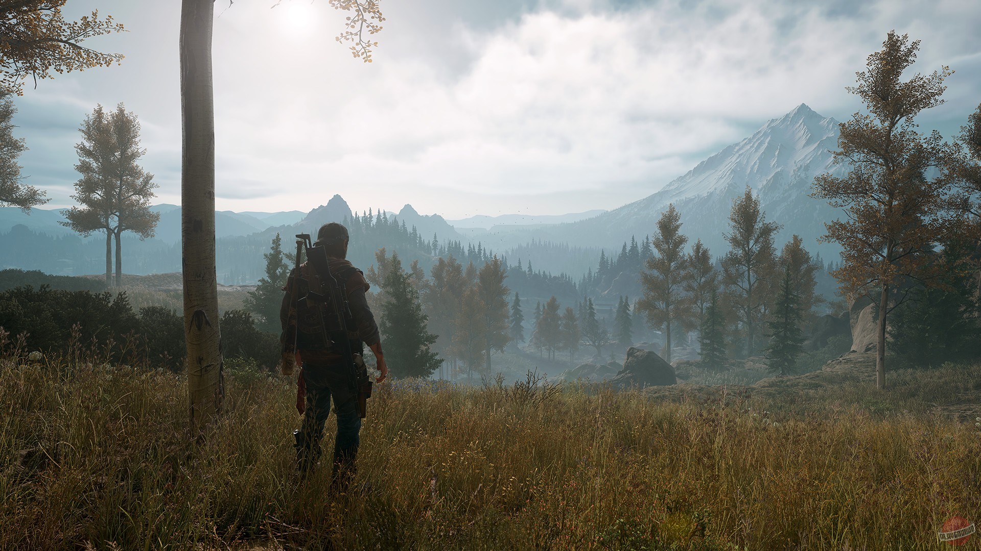 Скриншот из игры Days Gone - 142