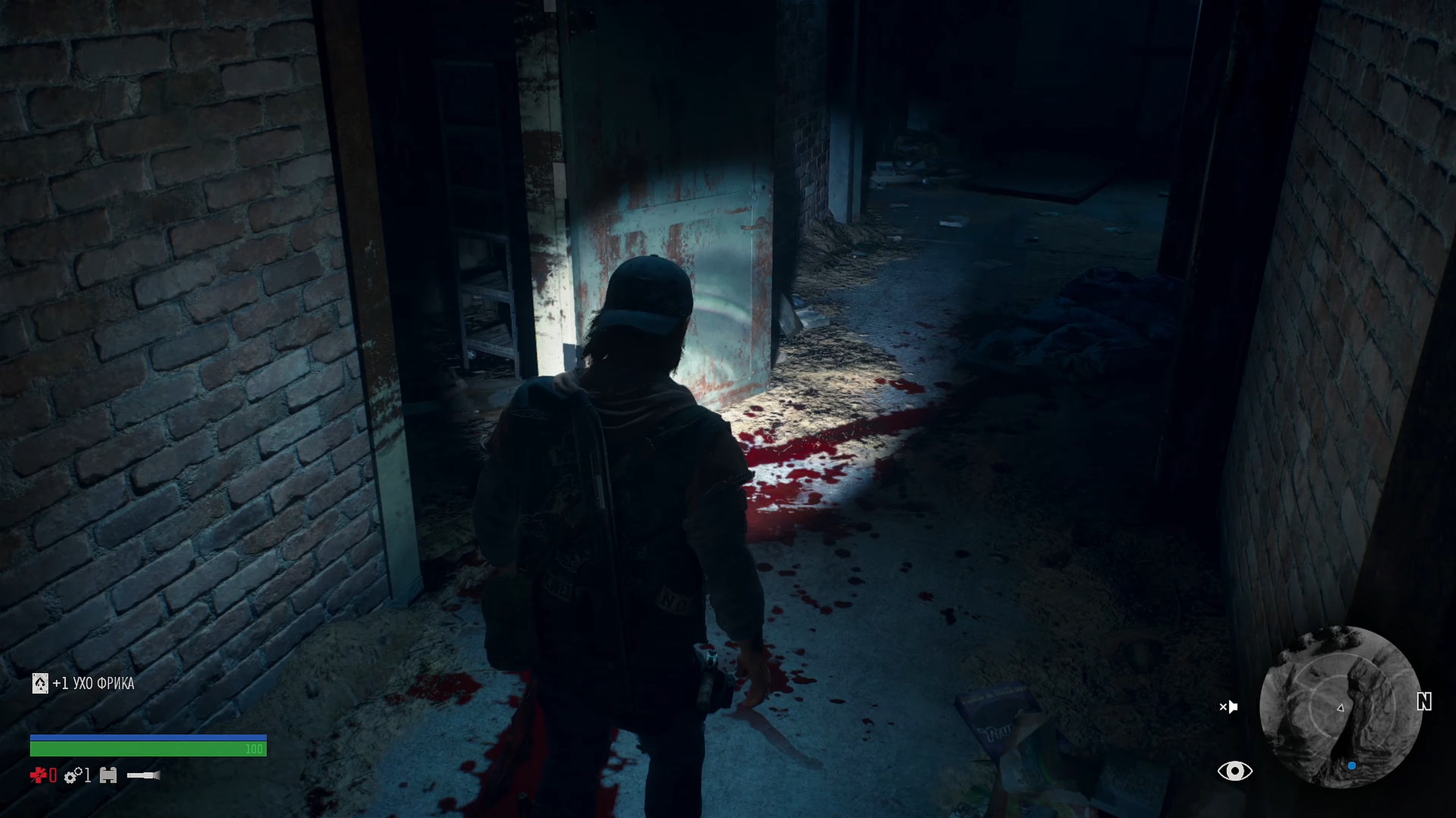 Скриншот из игры Days Gone - 146