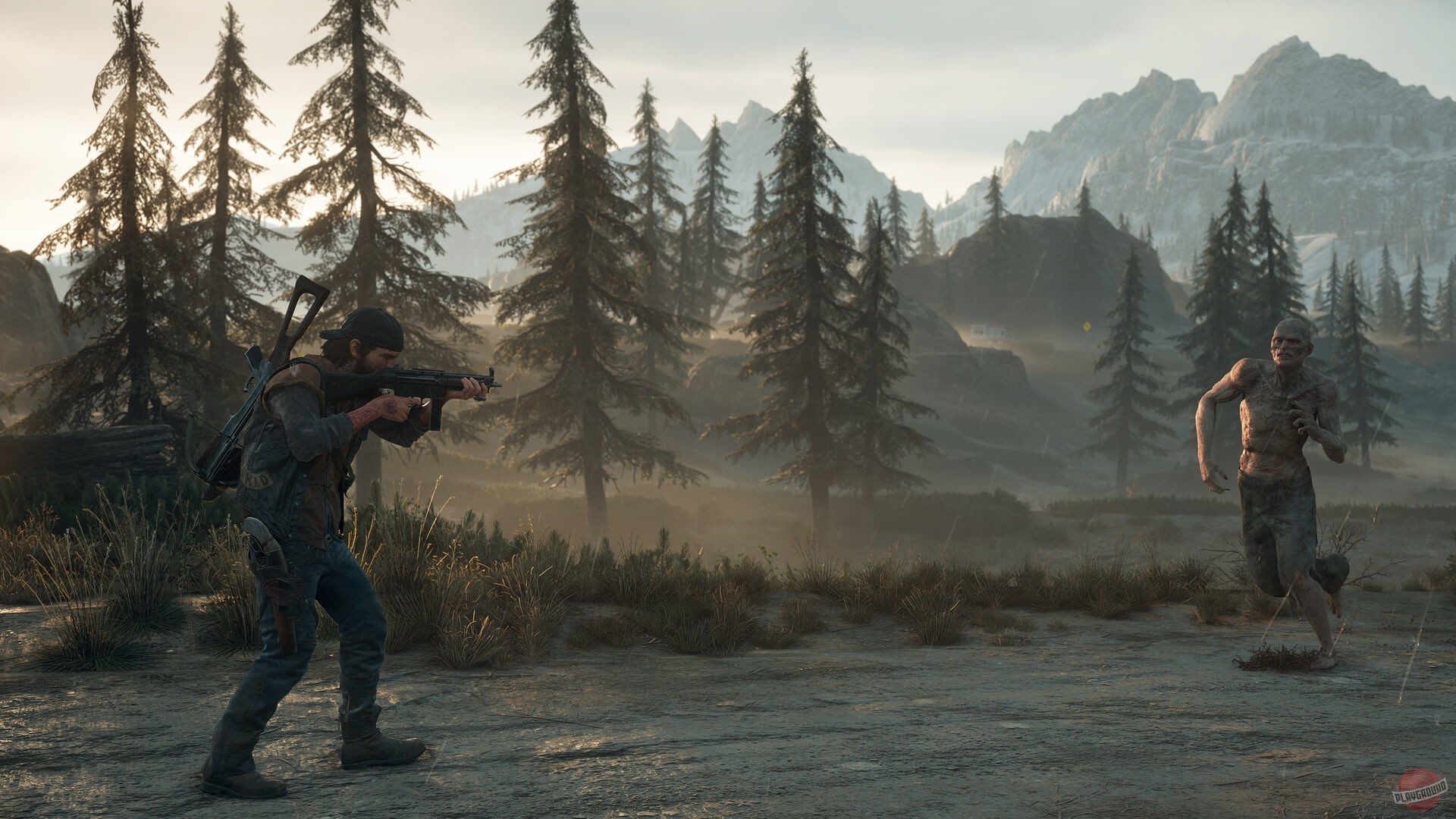 Скриншот из игры Days Gone - 167
