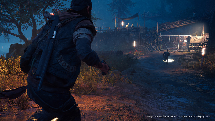 Скриншот из игры Days Gone - 1