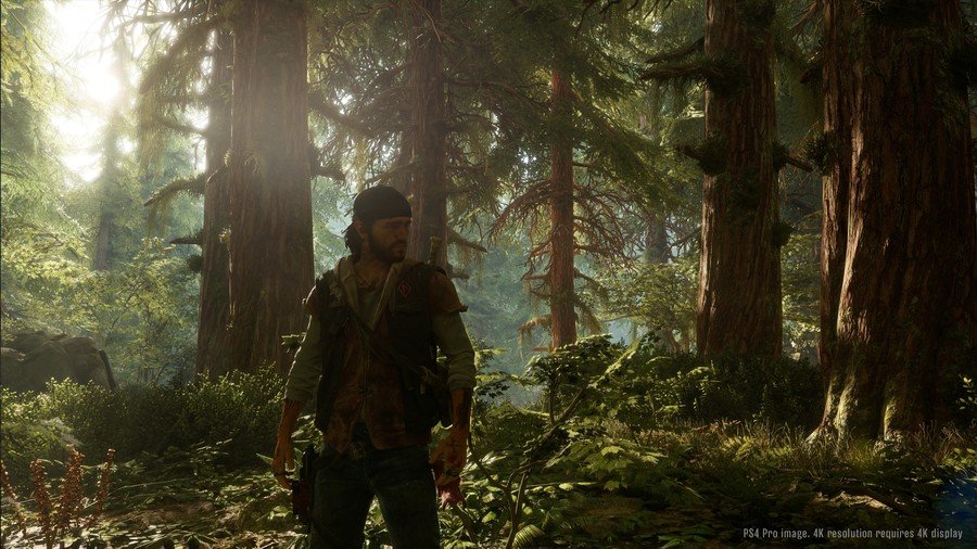 Скриншот из игры Days Gone - 13