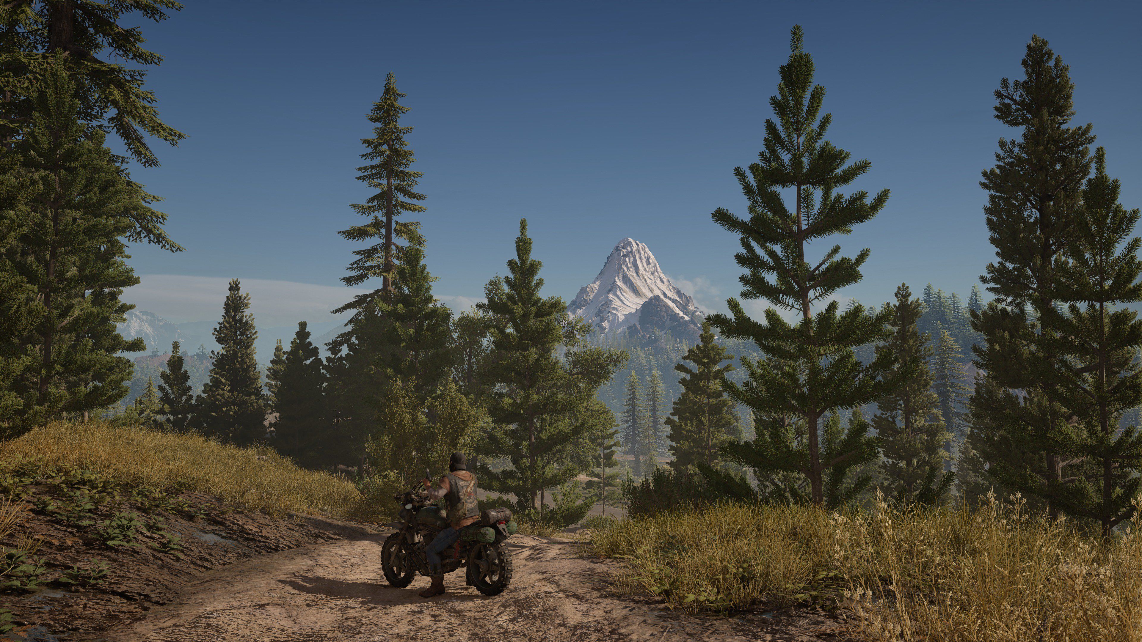 Скриншот из игры Days Gone - 16