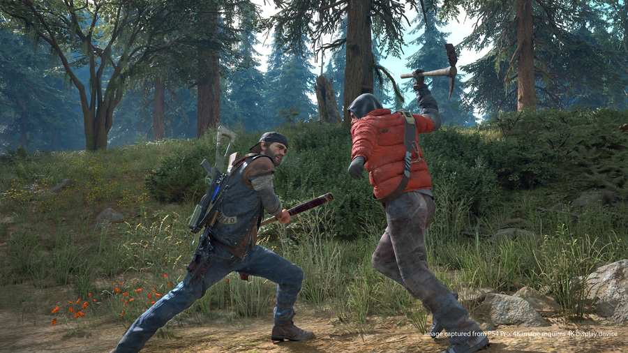 Скриншот из игры Days Gone - 4