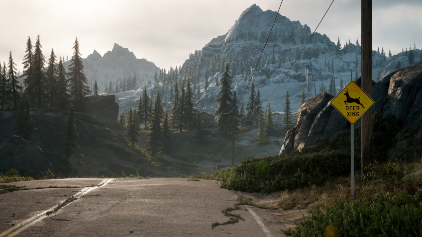 Скриншот из игры Days Gone - 31
