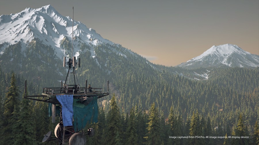 Скриншот из игры Days Gone - 5