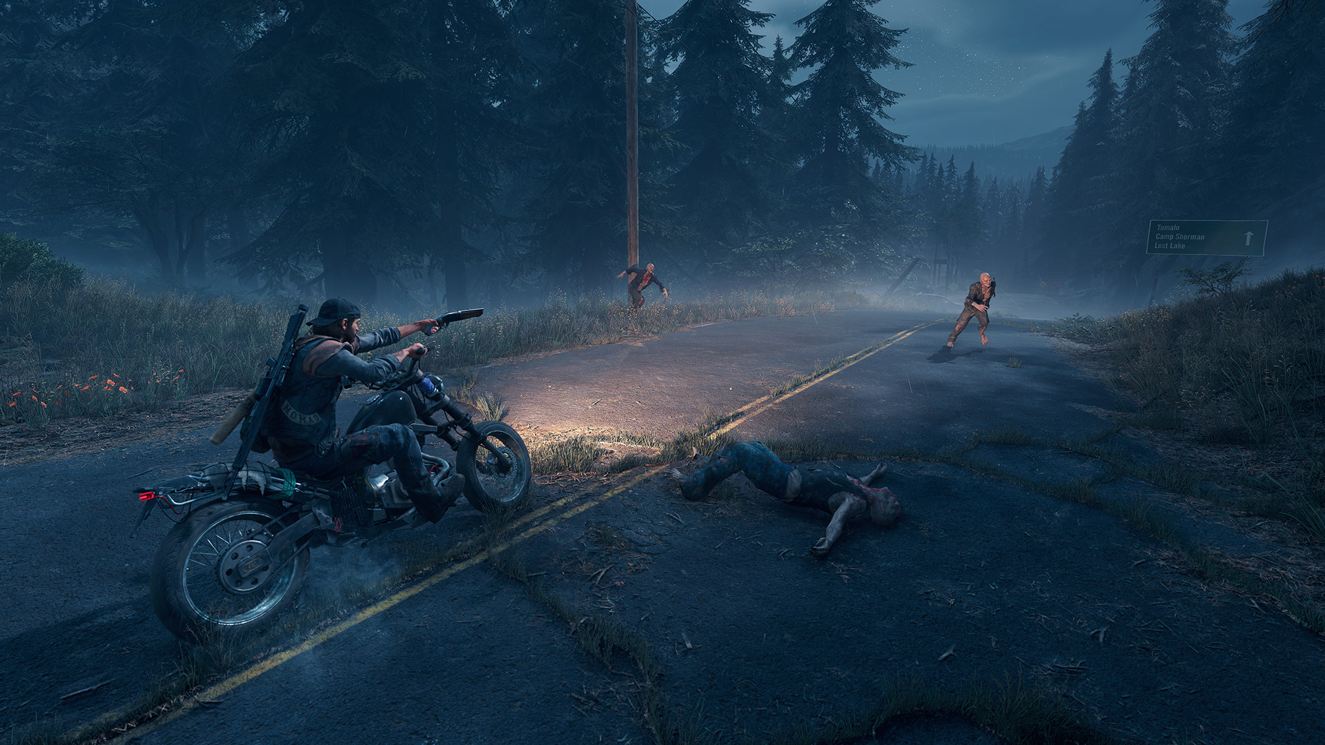 Скриншот из игры Days Gone - 50