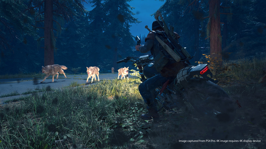 Скриншот из игры Days Gone - 6
