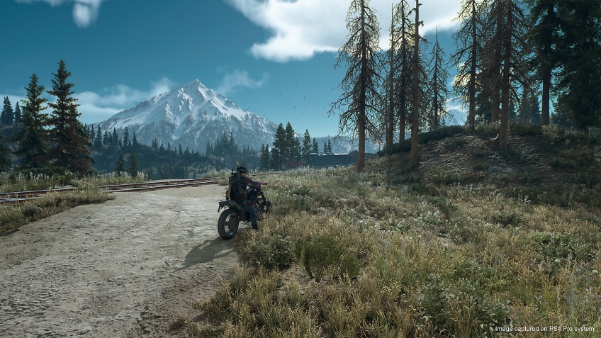 Скриншот из игры Days Gone - 63