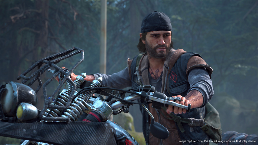 Скриншот из игры Days Gone - 74