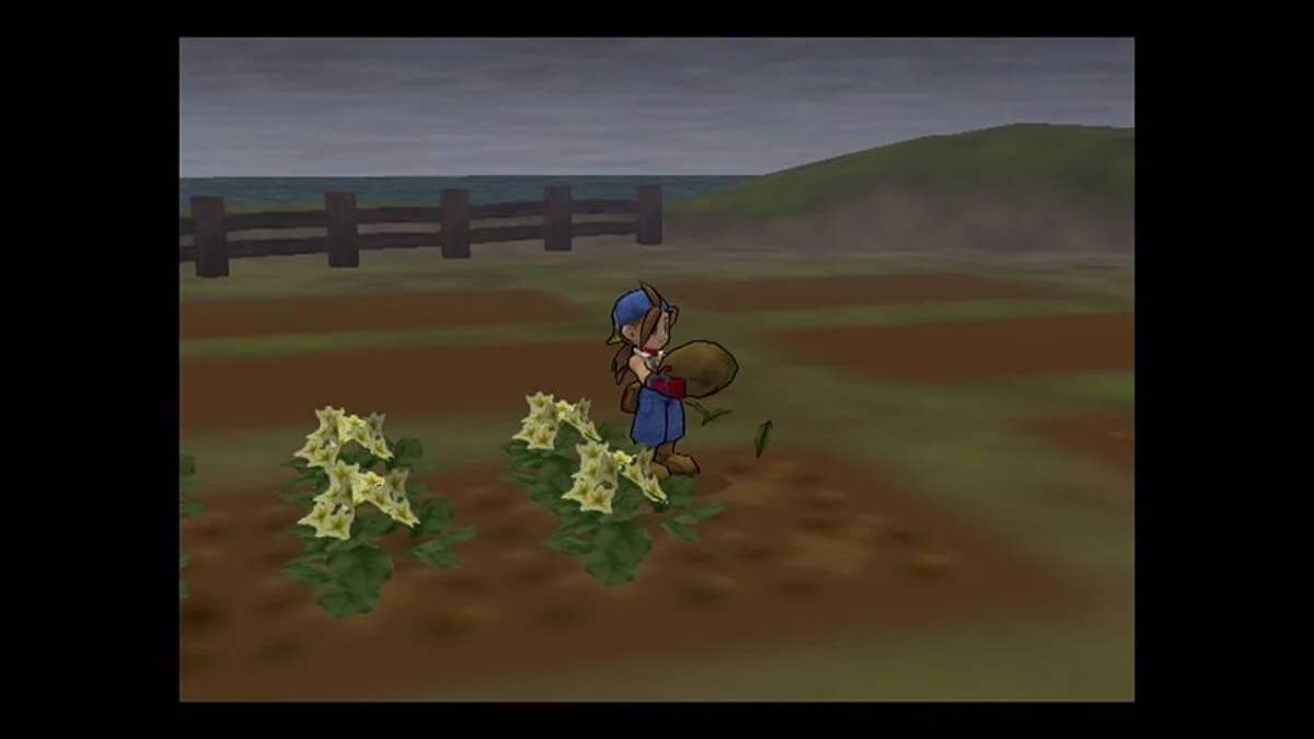 Скриншот из игры Harvest Moon: Save the Homeland - 6