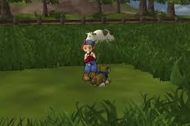 Скриншот из игры Harvest Moon: Save the Homeland - 15