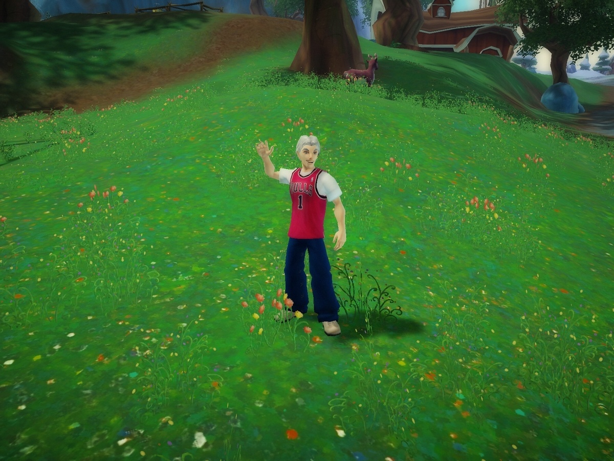 Скриншот из игры Free Realms - 178