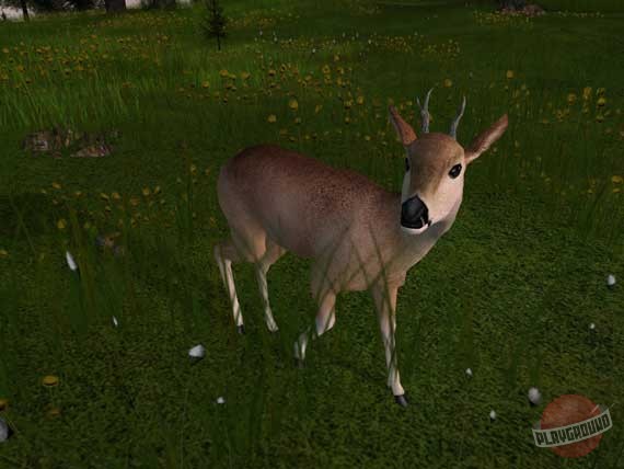 Скриншот из игры Deer Hunter 2005 - 6