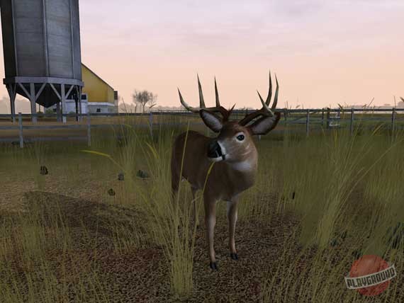 Скриншот из игры Deer Hunter 2005 - 10