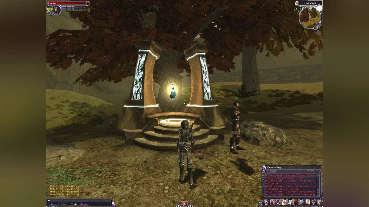 Скриншот из игры Chronicles of Spellborn - 6