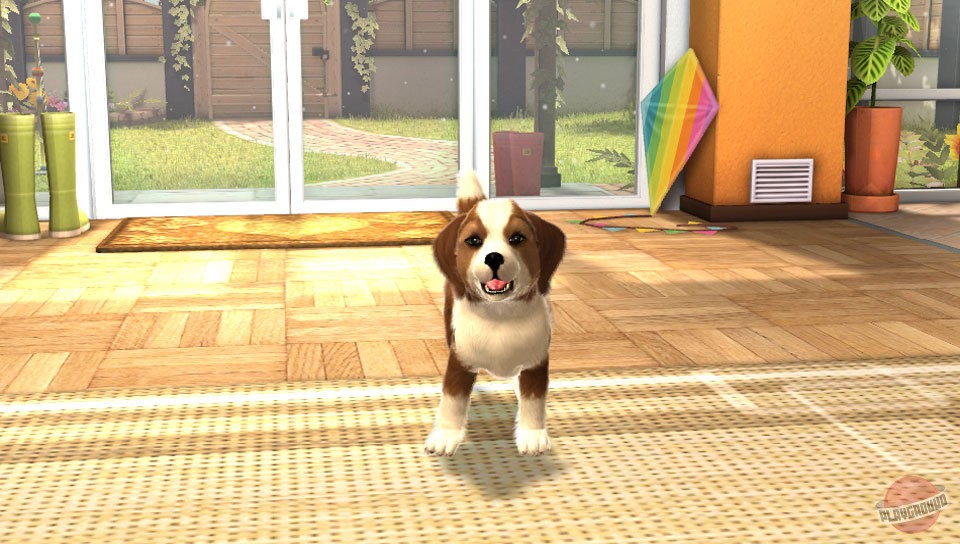 Скриншот из игры PlayStation Vita Pets - 23