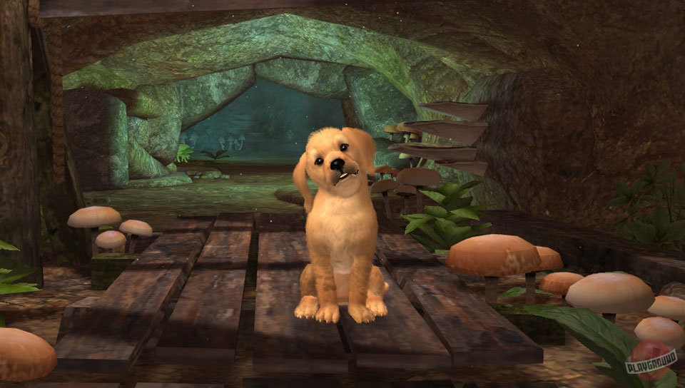Скриншот из игры PlayStation Vita Pets - 25