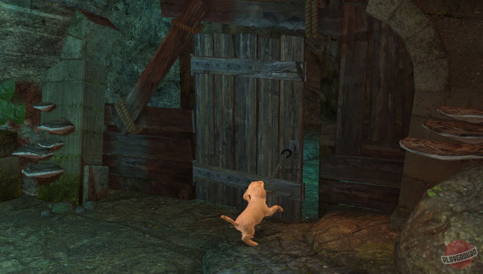 Скриншот из игры PlayStation Vita Pets - 28