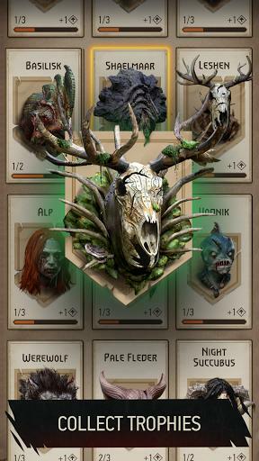 Скриншот из игры The Witcher: Monster Slayer - 37