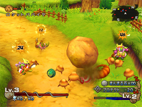 Скриншот из игры Dawn of Mana - 9