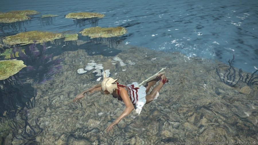 Скриншот из игры Final Fantasy XIV: Stormblood - 29