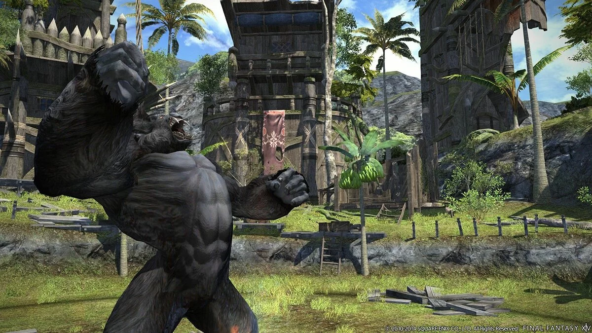 Скриншот из игры Final Fantasy XIV - 13