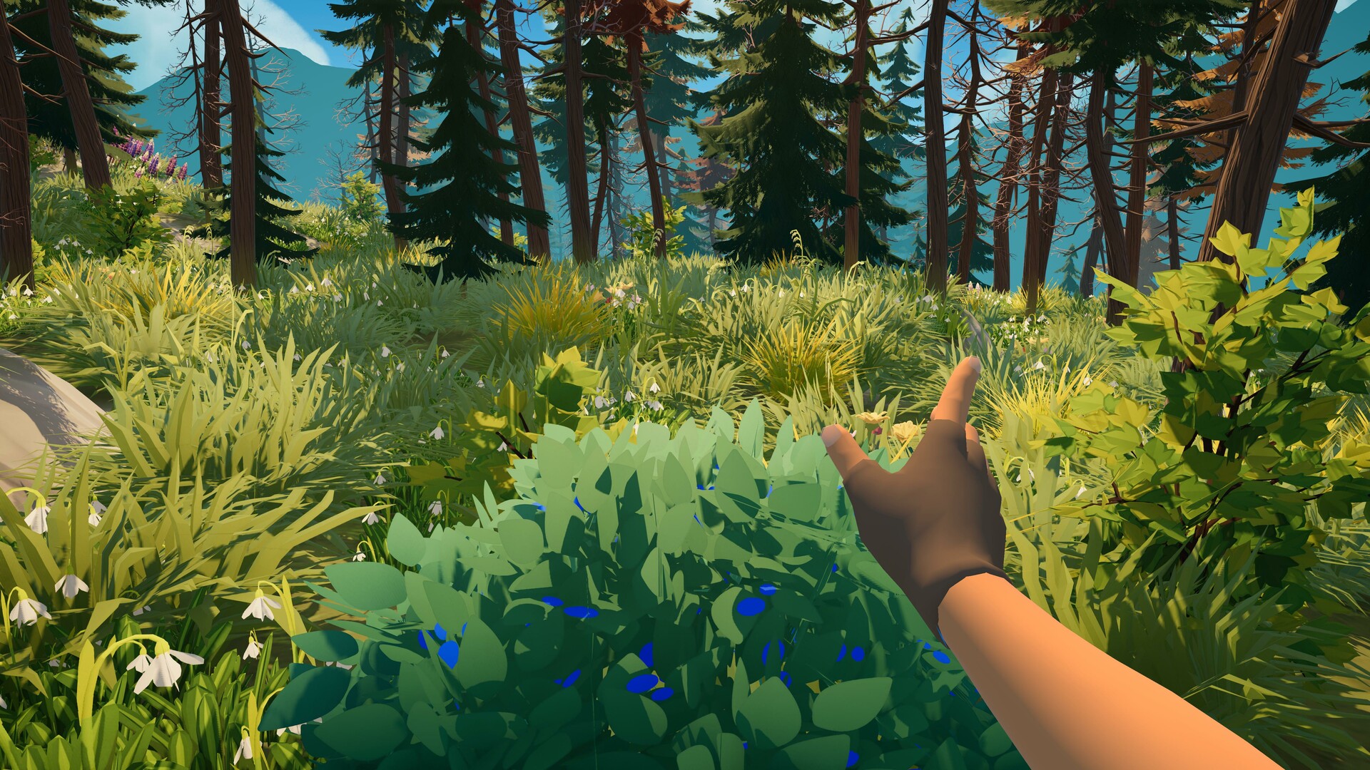 Скриншот из игры Outbound - 17