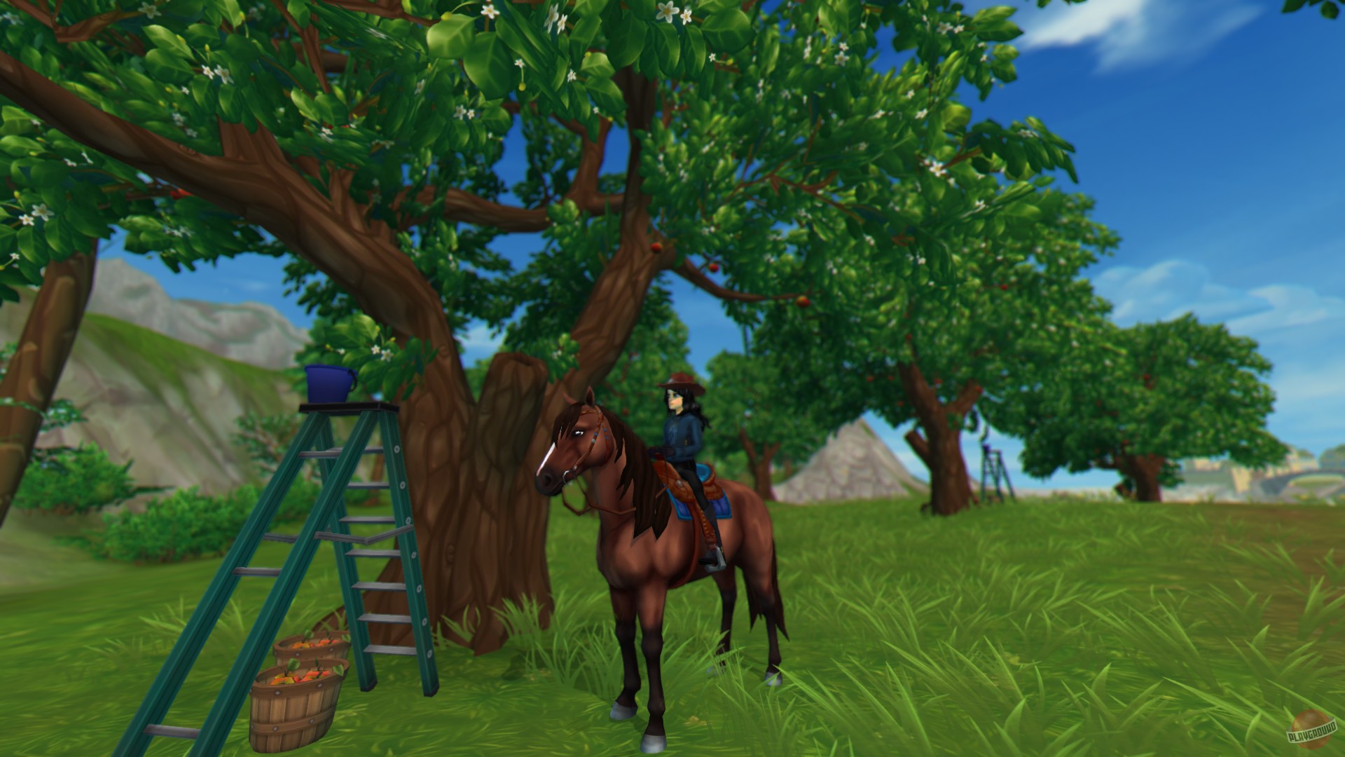 Скриншот из игры Star Stable - 18