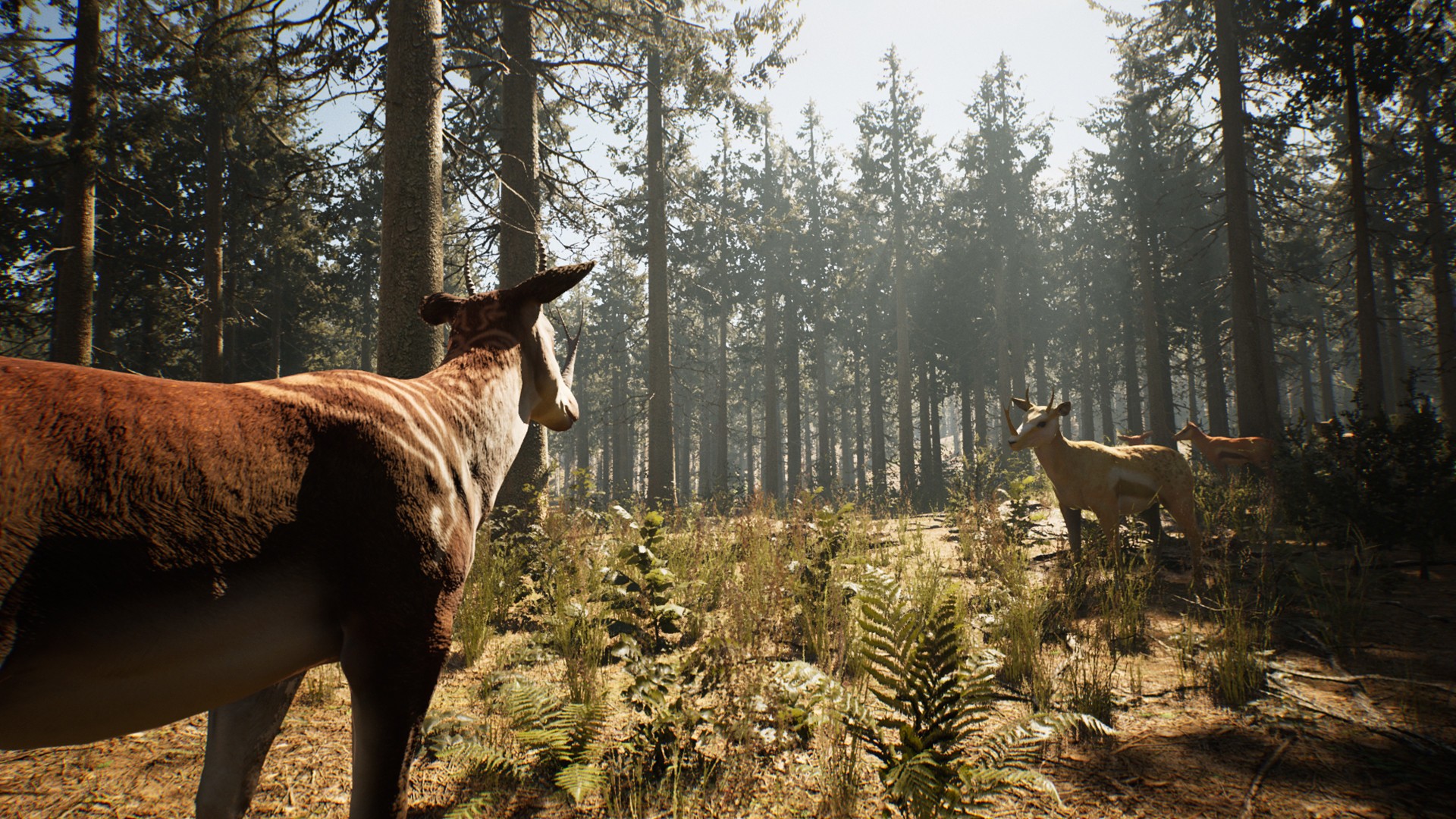 Скриншот из игры Mortal Online 2 - 10