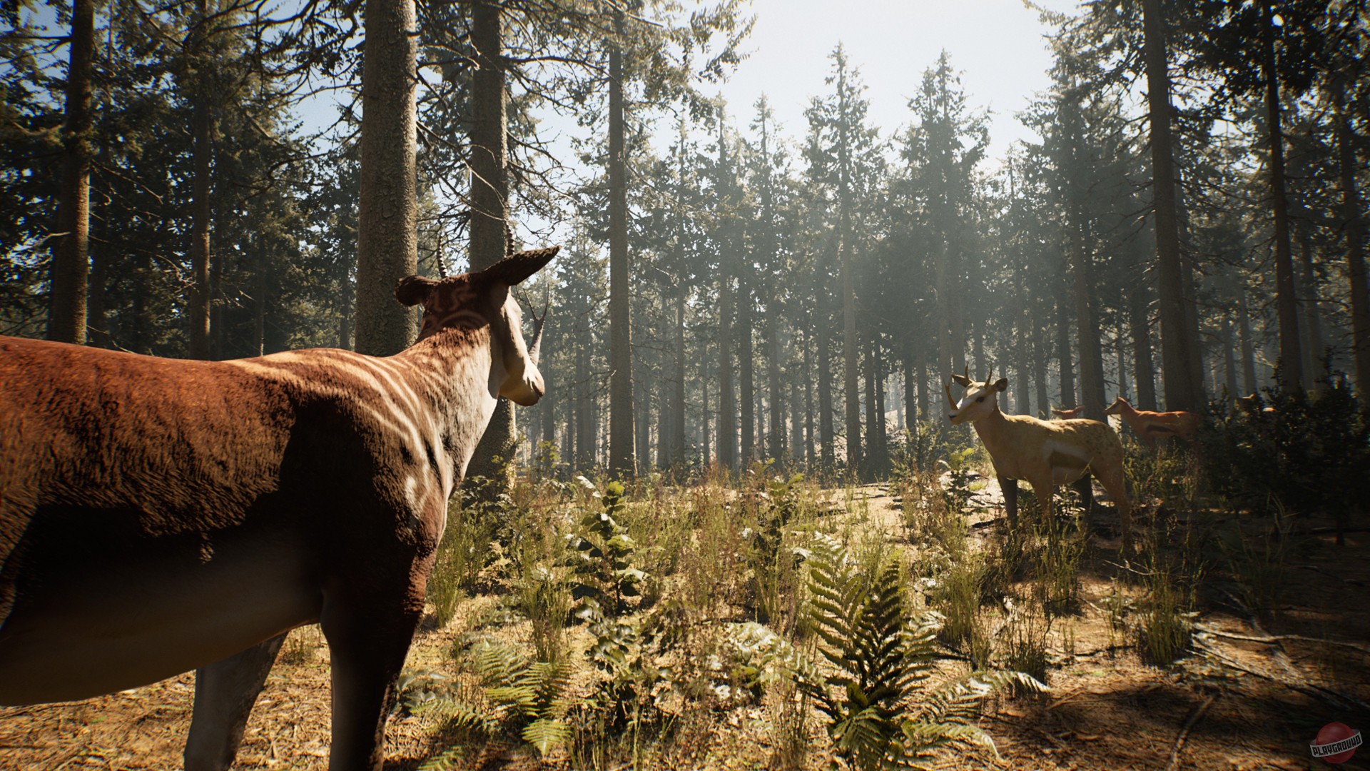 Скриншот из игры Mortal Online 2 - 13