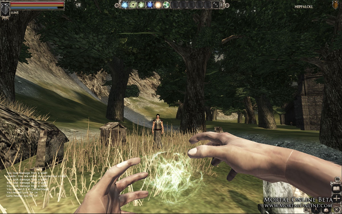 Скриншот из игры Mortal Online - 55