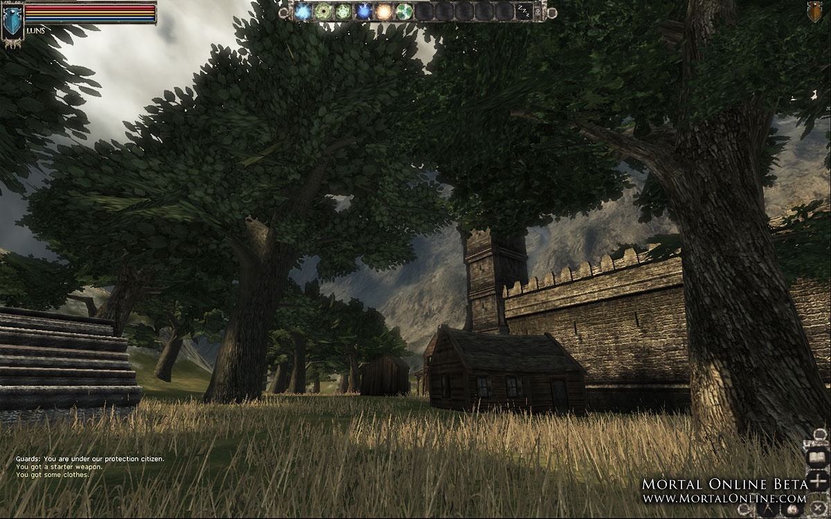 Скриншот из игры Mortal Online - 21