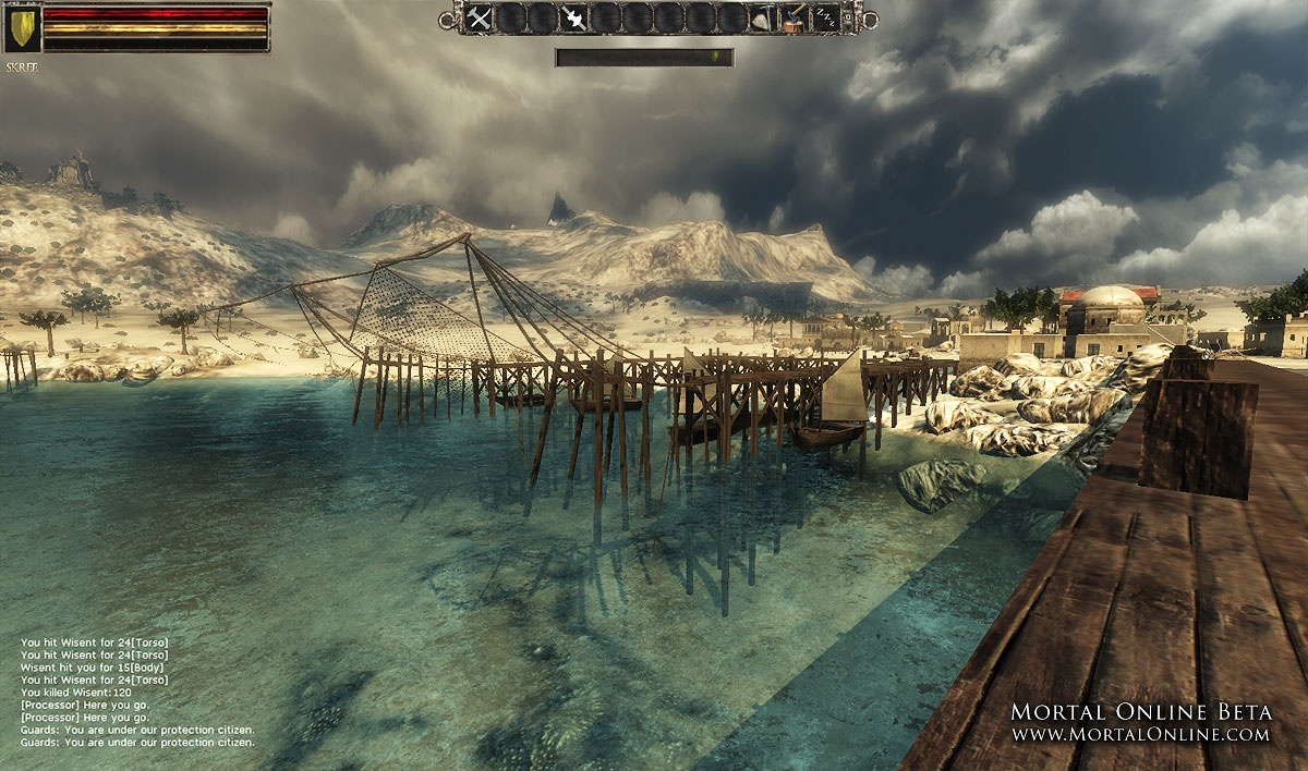 Скриншот из игры Mortal Online - 47