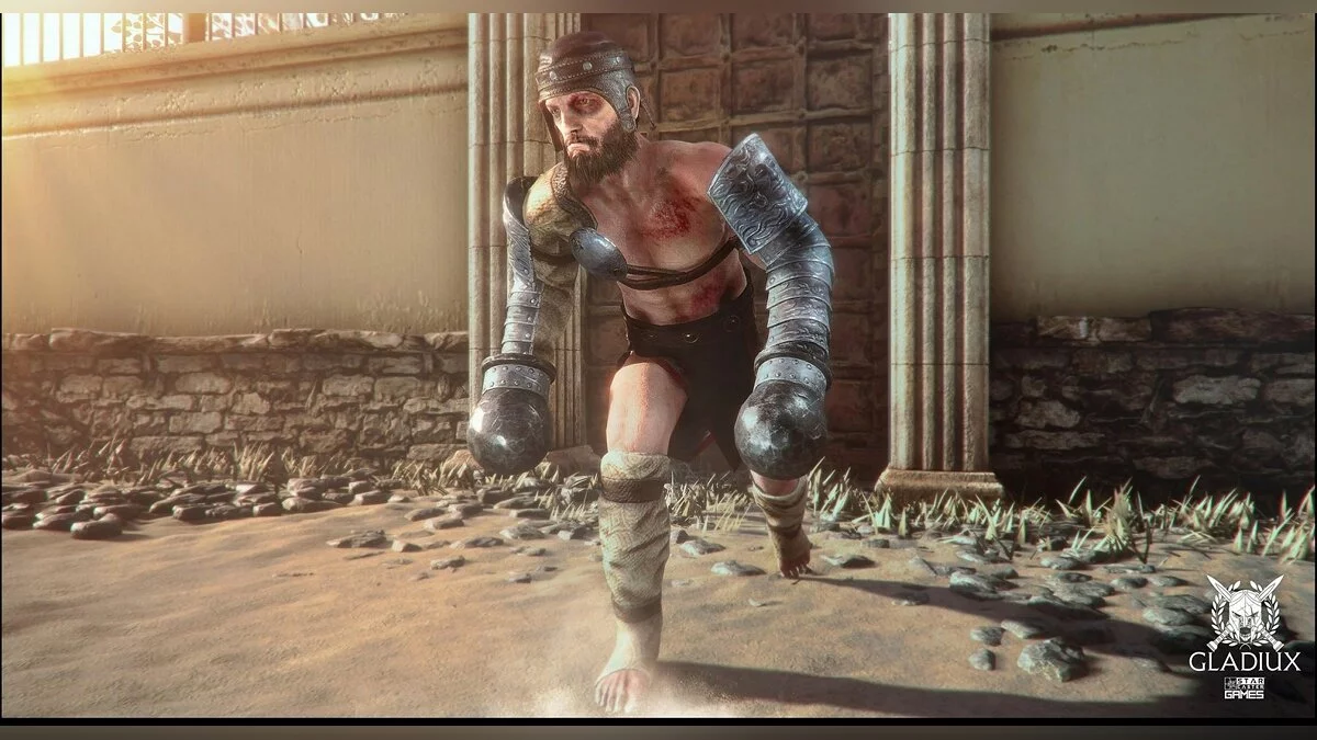 Скриншот из игры Gladiux - 9